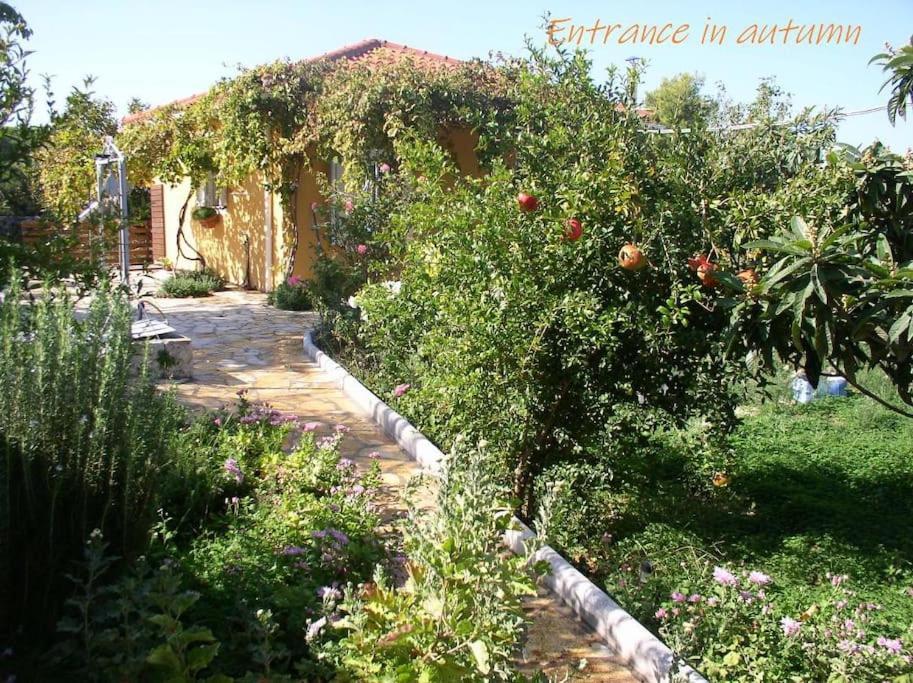 Adonino Residence-The House Of Pomegranates Lakíthra Exteriér fotografie