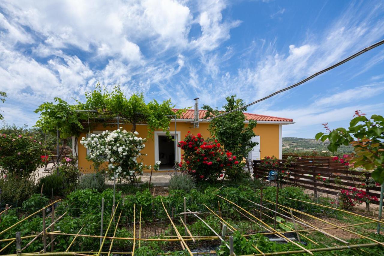 Adonino Residence-The House Of Pomegranates Lakíthra Exteriér fotografie